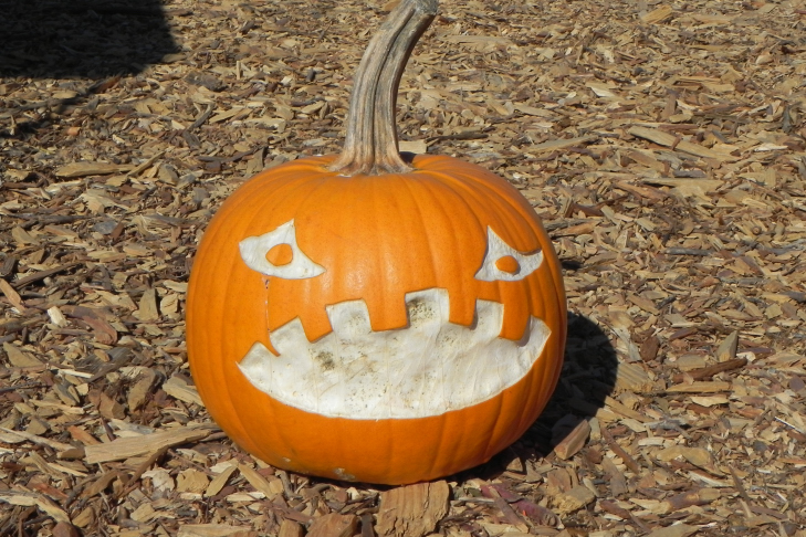 Pumpkin Carving Idea Bite